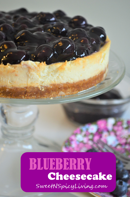 Blueberry Cheesecake 1