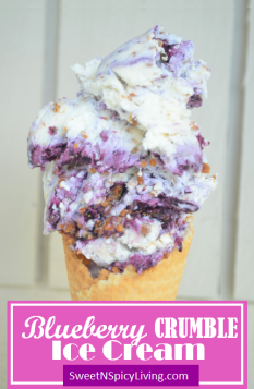 Blueberry Crumble Ice cream 3