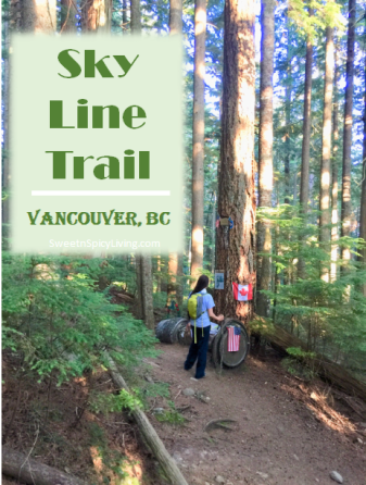 Sky Line Trail 2