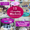 Everything Blueberry