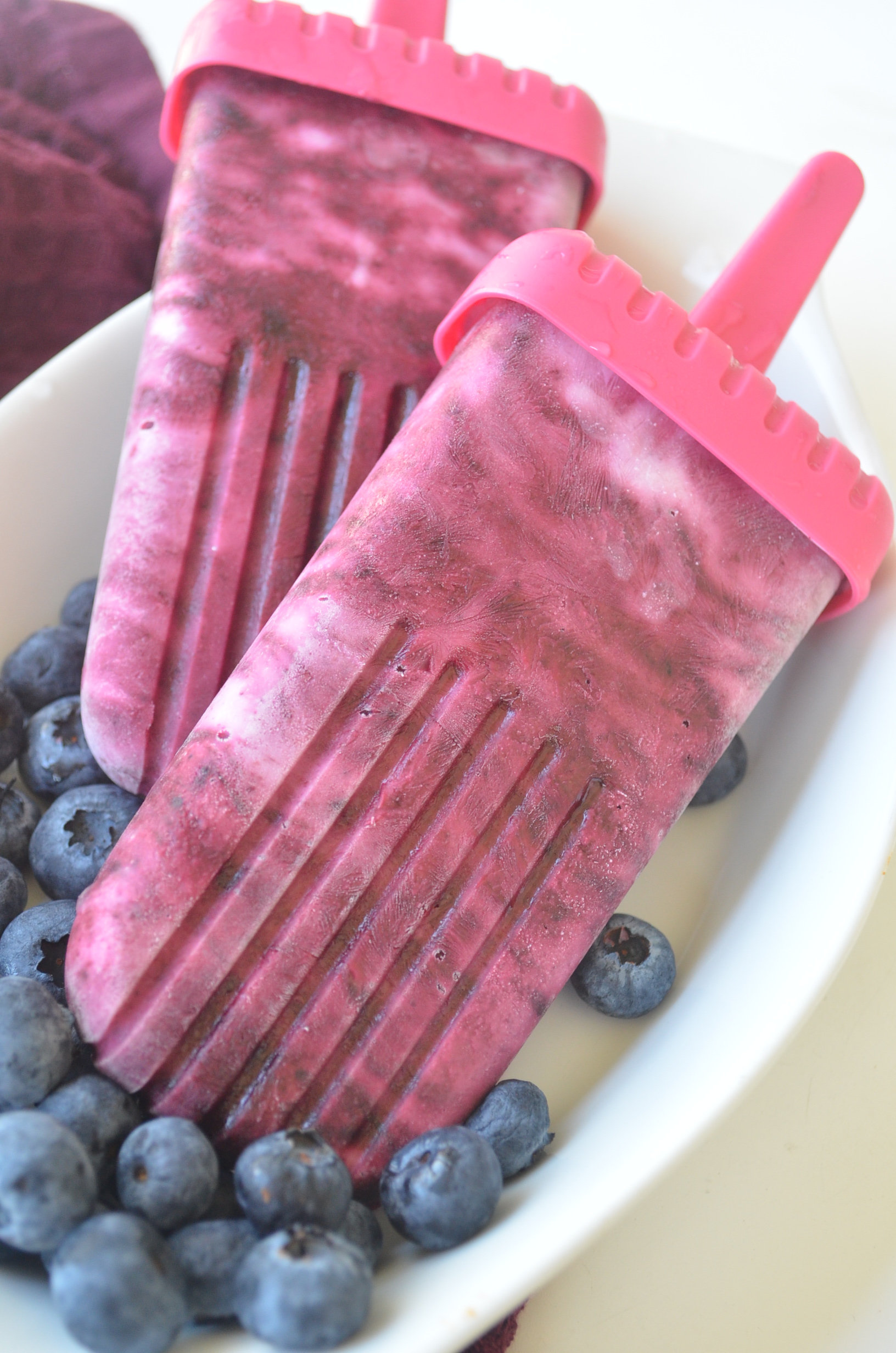 Blueberry Popsicle